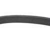 Continental Accessory Belt 6pk-1173 11287952902 View 2
