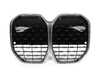 Genuine BMW FRONT ORNAMENTAL GRILLE GRAY 51139850173 View 1