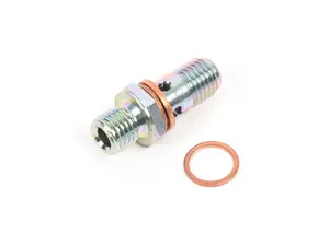 Genuine BMW Non-return Valve - 16121153260