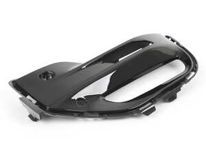 COVER, FOG LAMP, RIGHT
