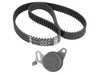 Ina OEM INA Timing Belt & Tensioner Kit - BMW E30 E28 E34 M20 5300006100 View 1