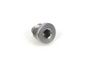 SCREW PLUG, MAGNETIC