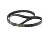Ina OEM INA Accessory Belt - E46 E39 E53 E83 E85 FB6K458