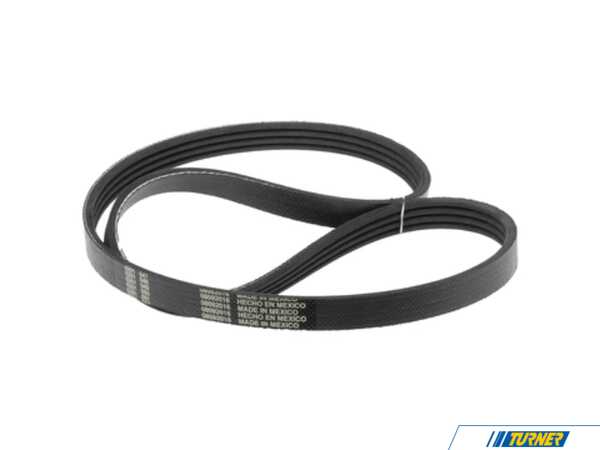 Ina OEM INA Accessory Belt - E46 E39 E53 E83 E85 FB6K458