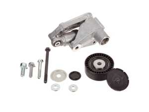 OEM INA Accessory Drive Belt Tensioner Assembly - E34