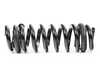 Genuine BMW Genuine BMW Coil Spring 33537857311 View 2
