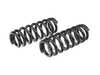 ECS ECS F80 M3 Lowering Springs 051084LA01 View 23