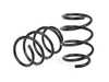 ECS ECS F80 M3 Lowering Springs 051084LA01 View 24