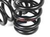 ECS ECS F80 M3 Lowering Springs 051084LA01 View 26