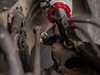 ECS ECS Performance Adjustable Coilover System - E9X (xDrive) - With Installation Kit 029310ECSKT View 12