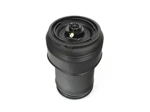 Rear Air Spring - 37126795013