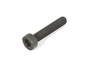 VANOS CENTRAL BOLT