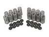 5150 Autosport BMW N20 N26 Valve Springs By SuperTech SUPHPVSKN2088 View 1