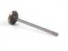 Genuine BMW Genuine BMW Intake Valve - 11341438385 11341438385 View 1