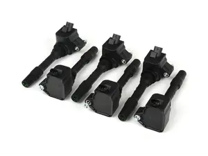 Vargas Ignition Coil Kit (Black) - B58/B48/S58