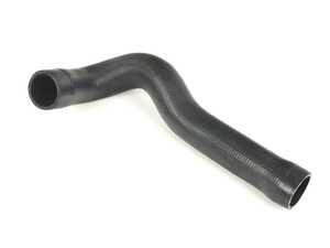 Radiator Hose - Lower