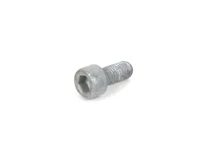 Genuine BMW Torx Bolt - 34206870566