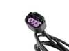Precision Raceworks PNP Ethanol Sensor Harness For Motiv Re|Flex Plus 201-0410 View 4