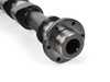 Cat Cams Cat Cams Sport camshaft set 258/247 10.00mm/9.40mm - M60 V8  1303506 View 2