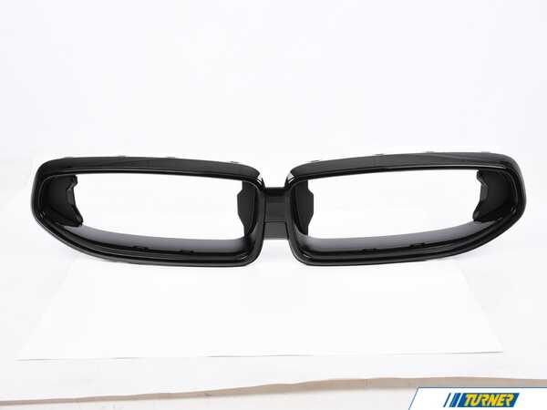 Genuine BMW FRONT ORNAMENTAL GRILLE BLACK 51138098220