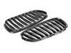 AUTOTECKNIC AUTOTECKNIC Glazing Black Front Grille Set - E85 Z4 ATK-BM-0216-GB View 3