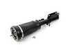 Unity Unity Front Air Strut Assembly - Right 37116761444 View 1