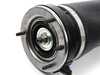 Unity Unity Front Air Strut Assembly - Right 37116761444 View 3