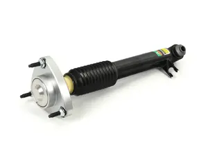 Arnott Shock Absorber - Rear Left - BMW E70 E71