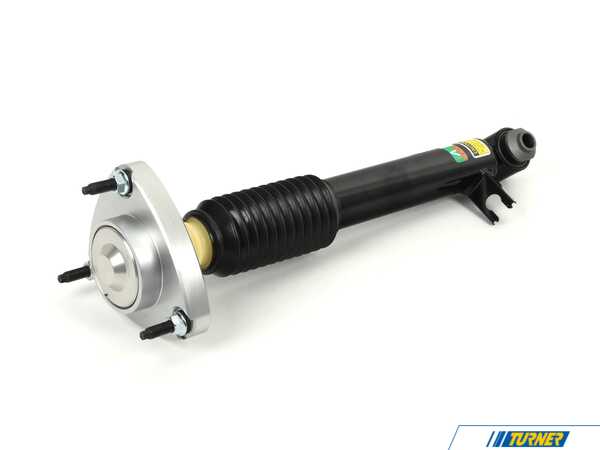 Arnott Arnott Shock Absorber - Rear Left - BMW E70 E71 SK-3607