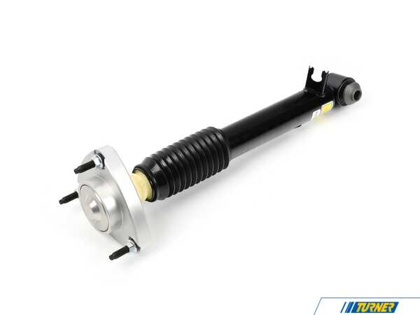 Arnott Arnott Shock Absorber - Rear Right - BMW E70 E71 SK-3606