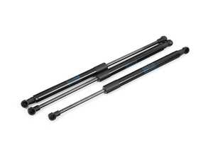 Hood And Trunk Strut Kit