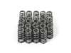 Supertech Performance Conical Valve Spring - Set Of 24 SPR-FE20BE-24 View 2