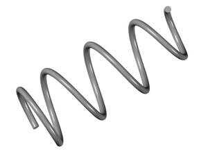 Front Coil Spring - E46