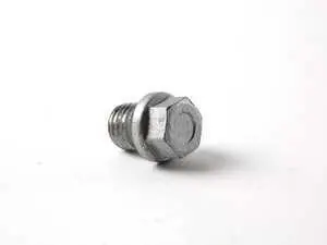 Genuine BMW Screw Plug - 07119903199 - E39 M5