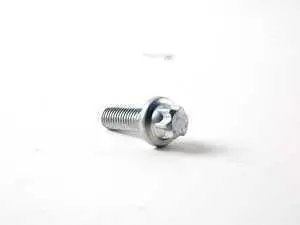 Torx Screw - Pack Of 10