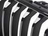 Genuine BMW Front Left Grille - Sport Black Finish 51135A3D027 View 2