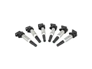 Mishimoto Ignition Coils, 6-Pack - BMW M54, N20, N52, N54, N55, N62, S54, S62