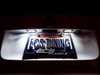 ZiZa LED License Plate Bulbs - Pair E70T10W37KT View 2