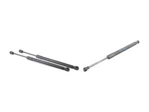 Hood And Trunk Strut Kit