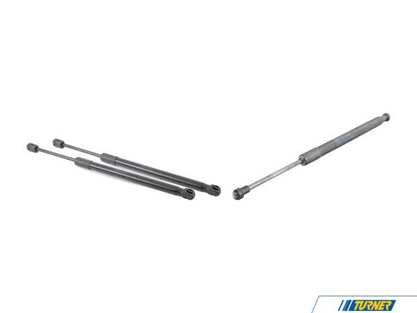 Genuine BMW Hood And Trunk Strut Kit 51237225518kt