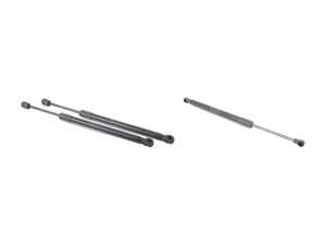 Hood And Trunk Strut Kit