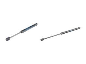 Hood And Trunk Strut Pair