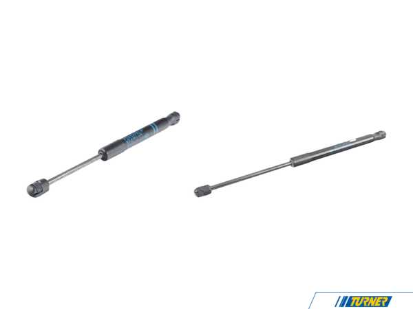 Genuine BMW Hood And Trunk Strut Pair 51247259763KT