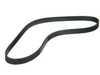 Continental OEM Continenal A/C Belt - M50/S50 Engine - E36 325i, E36 M3, E34 525i 11281469262 View 1