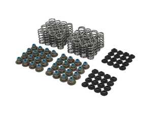 BWM S63 V8 Conical spring kit - 83lbs @35.7mm (Ex) 80@ 36mm (in) - 165@ 10mm - 12mm max lift SPR-FE20BE-24 + RET-BMN54-TE-24 + VSI-EC60-E-24