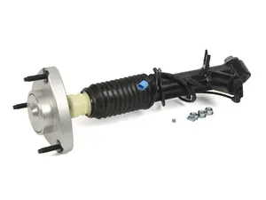 Arnott Shock Absorber - Rear Left - BMW F15 F16