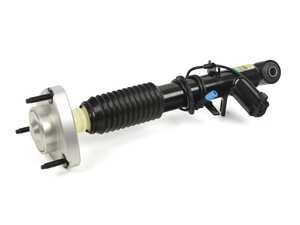 Arnott Shock Absorber - Rear Right - BMW F15 F16