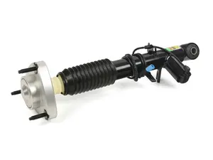 Arnott Shock Absorber - Rear Right - BMW F15 F16
