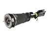 Arnott Arnott Air Strut Assembly - E53 AS-2764 View 3