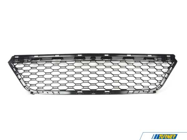 Genuine BMW GRILL, CENTER LOWER 51118069096